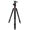 Triopo MT-2804C Adjustable Portable Aluminum Tripod (Gold) with NB-2S Ball Head (Black) for Canon Nikon Sony DSLR Camera