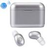 DT-4 IPX Waterproof Bluetooth 5.0 Wireless Bluetooth Earphone with Magnetic Charging Box, Support for Calling(Silver)