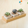 Succulent Wooden Storage Box Landscape Garden Decoration, Specification:3 Cells