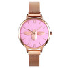 Skmei 9212 Fashion Lady Quartz Watch Student Female Temperament Waterproof Magnetic Suction Net Belt Watch(Pink)