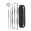 6 in 1 Black Box Stainless Steel Dental Tools Dental Care Tartar Tool Dentist Tool Set