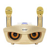 SD-306 2 in 1 Family KTV Portable Wireless Live Dual Microphone + Bluetooth Speaker(Gold)