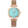 Ladies Magnet Buckle Watch Casual Flower Dial Watch Alloy Mesh Quartz Watch(Gold Sky Blue)