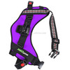 NEOpine Dog Fetch Hound Harness Adjustable Chest Strap Belt Mount for GoPro HERO 4 / 3+ / 3 / 2 / 1(Purple)