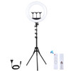 PULUZ 18 inch 46cm Ring Light + 1.8m Tripod Mount USB 3 Modes Dimmable White Light LED Curved Surface Ring Vlogging Photography Video Lights Kit with Remote Control & 3 x Phone Clamps(EU Plug)