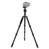 Triopo MT-2805C Adjustable Portable Aluminum Tripod (Gold) with NB-2S Ball Head (Black) for Canon Nikon Sony DSLR Camera