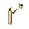 Universal Swivel Faucet Bathroom Hot & Cold Dual-Out Mode Faucet, Specification: Short HT-87590