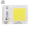 High Power 220V LED FloodlightCool/Warm White COB LED Chip IP65 Smart IC Driver Lamp(30W white)