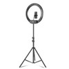 18 inch+ Phone Clip Dimmable Color Temperature LED Ring Fill Light Live Broadcast Set With 2.1m Tripod Mount, CN Plug