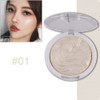 Highlighter Bronzer Brighten Powder for Face(01# Bird pattern)