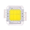 20W 1600LM High Power LED Integrated Light Lamp + 24-36V LED Driver(White Light)