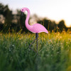 3 in 1 Waterproof Solar Flamingo Lawn Light LED Garden Path Landscape Lights Night Lamp