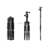 TRIOPO T259G+Q2 Adjustable Portable Carbon Fiber Tripod with Q-2 Ball Head for SLR Camera