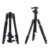 TRIOPO K2508S+B1S Adjustable Portable  Aluminum Aalloy Tripod with Ball Head for SLR Camera (Gold)