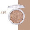 Highlighter Bronzer Brighten Powder for Face(10# Bird pattern)