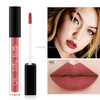 QIC Q905 Liquid Lipstick Professional Makeup Matte Lipstick Long Lasting Cosmetics Lip Gloss(3)