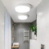 QSXDD-FSCB IP54 Waterproof Ceiling Lamp Dust-Proof Garden Corridor Wall Light Balcony Bathroom Ceiling Light, Power source: 12W White(White Light)