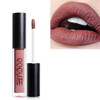 Matte Waterproof Makeup Lip Gloss Liquid Lip Stick Long Lasting Lipgloss(3)