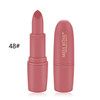 MISS ROSE Lipstick Matte Waterproof Velvet Lip Stick Sexy Red Brown Pigments Makeup Matte Lipsticks Beauty Lips(48)