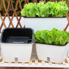 Family Balcony Rectangular Plastic Self-Absorbent Vegetable Growing Pot Flower Pot, Style: SC02 Big Pot