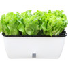 Family Balcony Rectangular Plastic Self-Absorbent Vegetable Growing Pot Flower Pot, Style: SC02 Big Pot