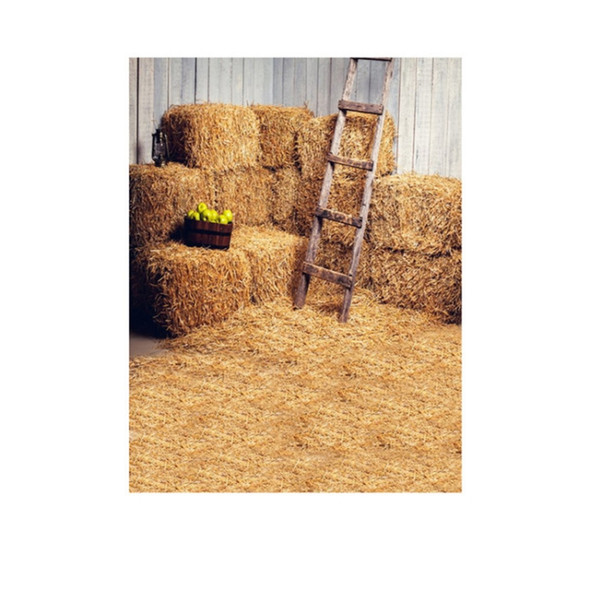 1.5m x 2.1m Straw Pile Wheat Field Scene Newborn Photo Photography Background Cloth