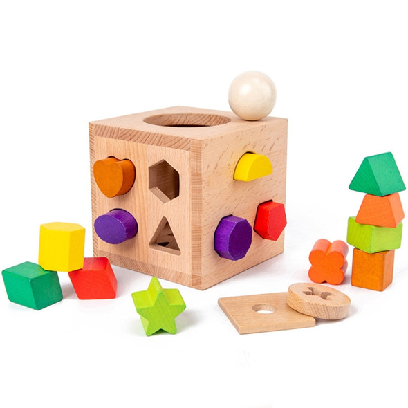 Beech 17-Hole Intelligence Box Geometric Shape Matching Cognitive  Toys Early Education Puzzle Toy(Rainbow Color )