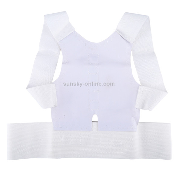 3 PCS Shoulder Support Bandage Lumbar Sport Back Brace Posture Correction Vest Belt for Men / Women, L Size