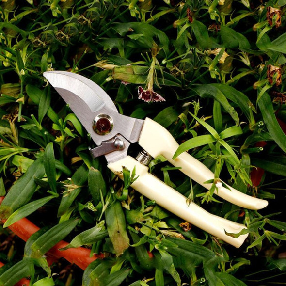 2 PCS Garden Tools Stainless Steel Pruning Shears Fruit Tree Scissors Garden Branch Shears(Elbow)