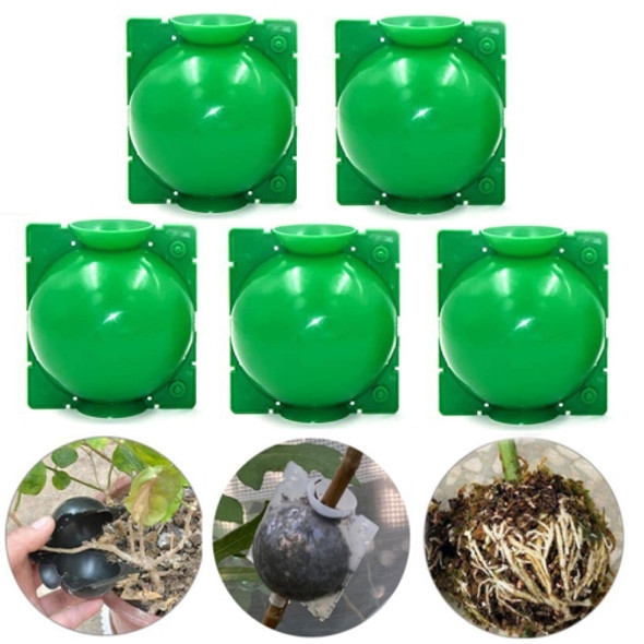 5 PCS High Pressure Propagation Ball Graft Box Breeding Case For Garden Graft, Size: 5cm(Green)