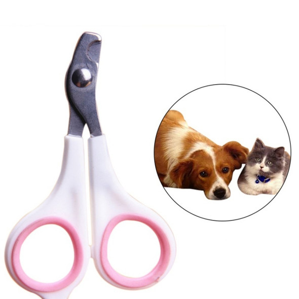 10 PCS Pet Animal Dog Cats Bird Toe Claw Stainless Steel Grooming Nail Clippers Scissors Trimm(Random Color Delivery)