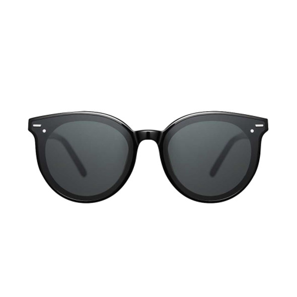 Original Xiaomi Youpin ANDZ A1003 C1a Trend Plate Sunglasses Soulfinch(Black)