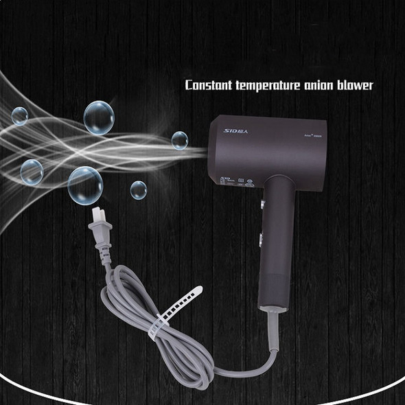 SID RD2030 Hair Dryer Home Dormitory High-power Portable Mute Negative Ion Hair Dryer, CN Plug