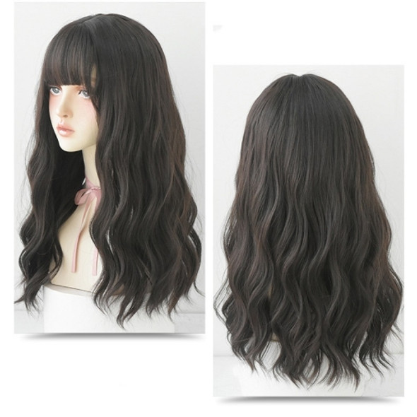 Ladies Long Hair Slightly Curly Wig Natural Fluffy Hair Cover, Color:Dark Brown