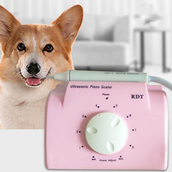 Ultrasonic Dental Washing Machine for Pet Dog Teeth Stone Remover, Plug Specifications:CN Plug(Pink)