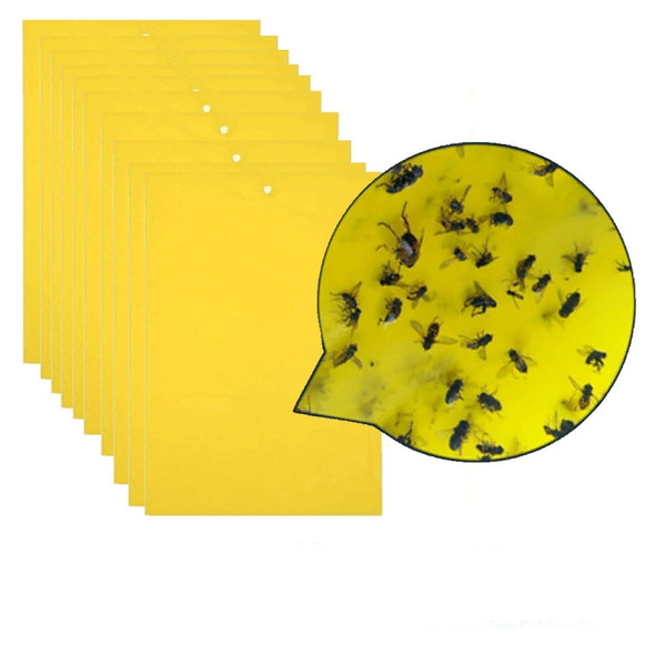 10 Packs Double-sided Stick Insect Board Yellow Board Melon Fruit Fly Trap Board
