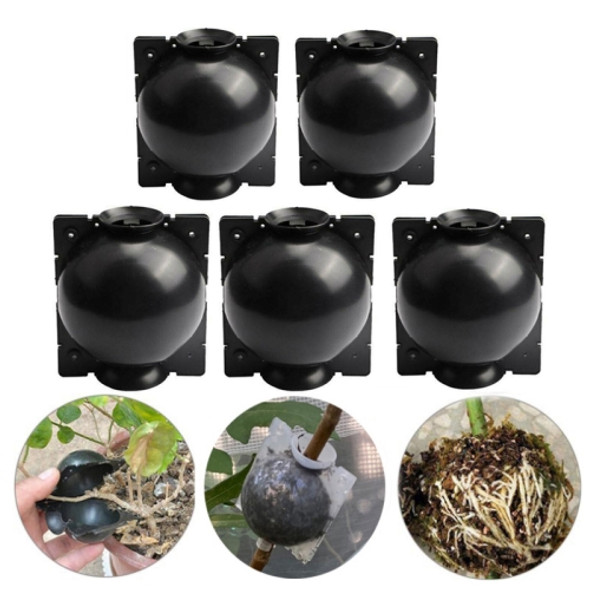 5 PCS High Pressure Propagation Ball Graft Box Breeding Case For Garden Graft, Size: 8cm(Black)