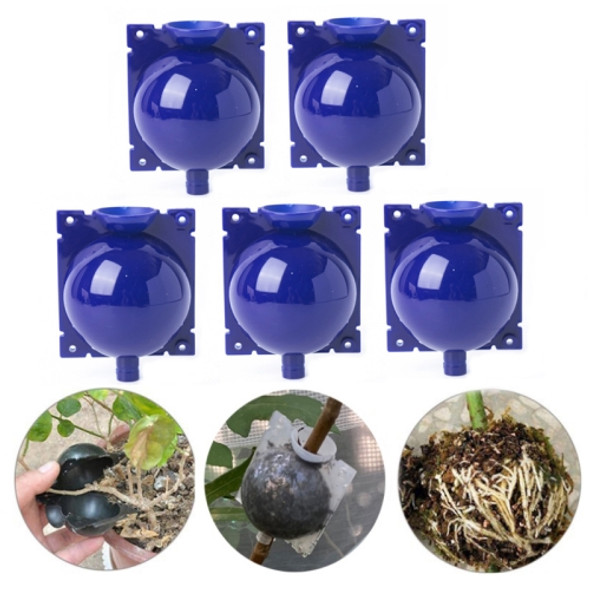 5 PCS High Pressure Propagation Ball Graft Box Breeding Case For Garden Graft, Size: 5cm(Purple)