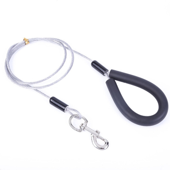 Pet Bite-Proof Wire Traction Rope, Length: 180cm(Silver)