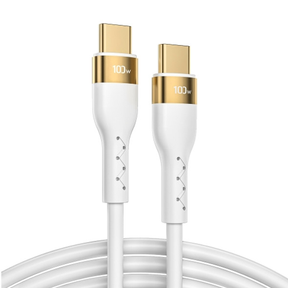 JOYROOM S-3050N18-10 100W Type-C / USB-C to Type-C / USB-C Liquid Silicone Charging Cable, Length:3m(White)
