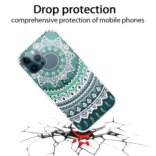 Gradient Lace Transparent TPU Phone Case For iPhone 11(Green White)
