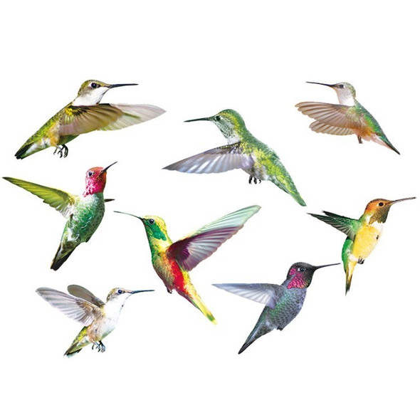 9Pcs Hummingbird Window Hummingbird Sticker Window Clings Decor Anti-Collision Window Decoration Decals