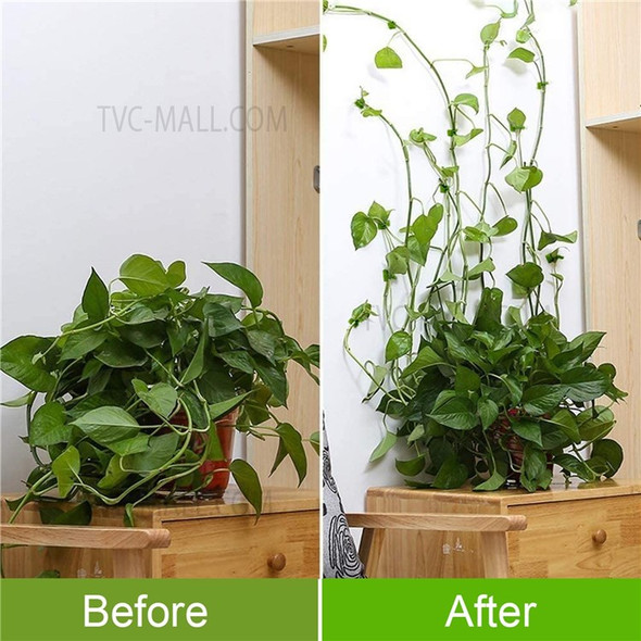 50Pcs Plant Climbing Wall Fixture Clips Self-Adhesive Hook Vines Traction Clips Invisible Holder