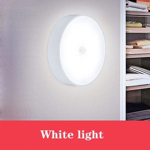 Small Night Light Cabinet Closet Light Wall Light for Staircase Bedroom Kitchen - White Light