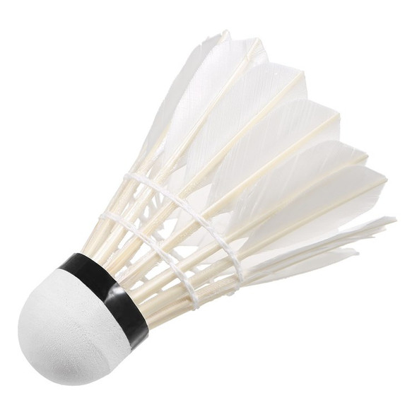 12Pcs Sports Shuttlecocks High Speed Badminton Birdies Training Badminton Balls for Youth Players Exercise Gym Fitness Game