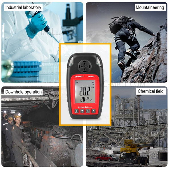 WINTACT WT8821 Professional Oxygen Detector High Sensitive Oxygen Gas Sensor Alarm O2 Meter Monitor Gas Analyzer