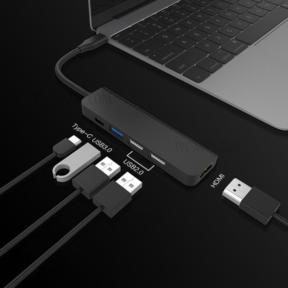 Type-C to HDMI + USB3.0+ USB2.0 + Micro USB Hub Adapter