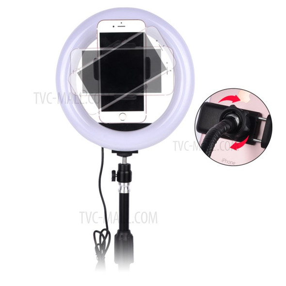 8-inch Dimmable LED Ring Light Fill Light with Round Base Stand and Phone Clamp