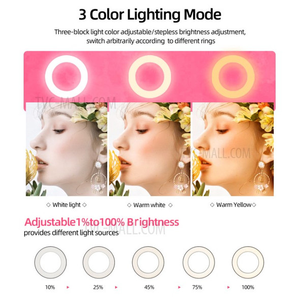 S26-RGB 10inch USB Powered RGB LED Ring Light with Phone Holder for Live Broadcast Makeup Selfie