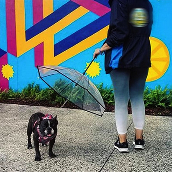 Pet Umbrella Transparent Folding Dog Umbrella with Leash Rainproof Snowproof Pet Dog Supply